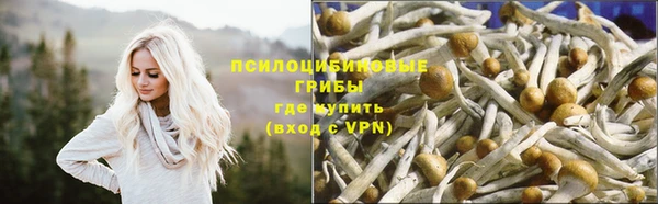 прущая мука Новозыбков