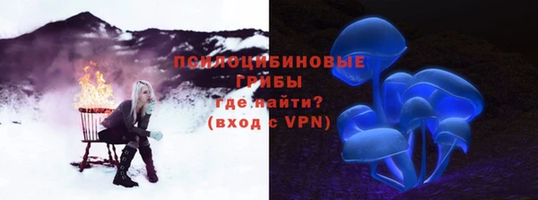 герыч Новодвинск