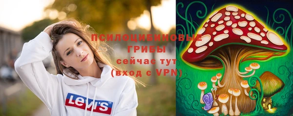 герыч Новодвинск