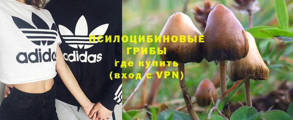 герыч Новодвинск