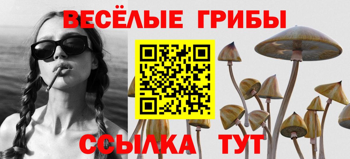 Екатеринбург  дарнет шоп  Вход с VPN  Галлюциногенные грибы MAGIC MUSHROOMS 
