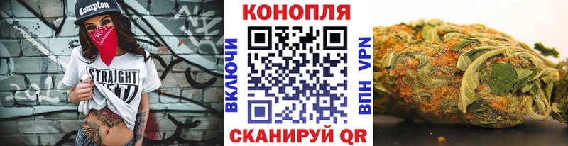 Канабис сатива  Екатеринбург 